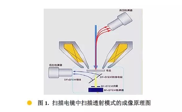 宁河扫描电镜