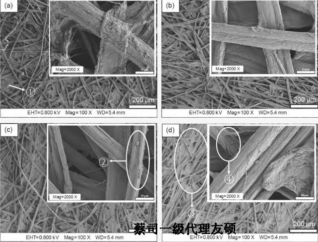 宁河蔡司场发射宁河扫描电镜GEMINI